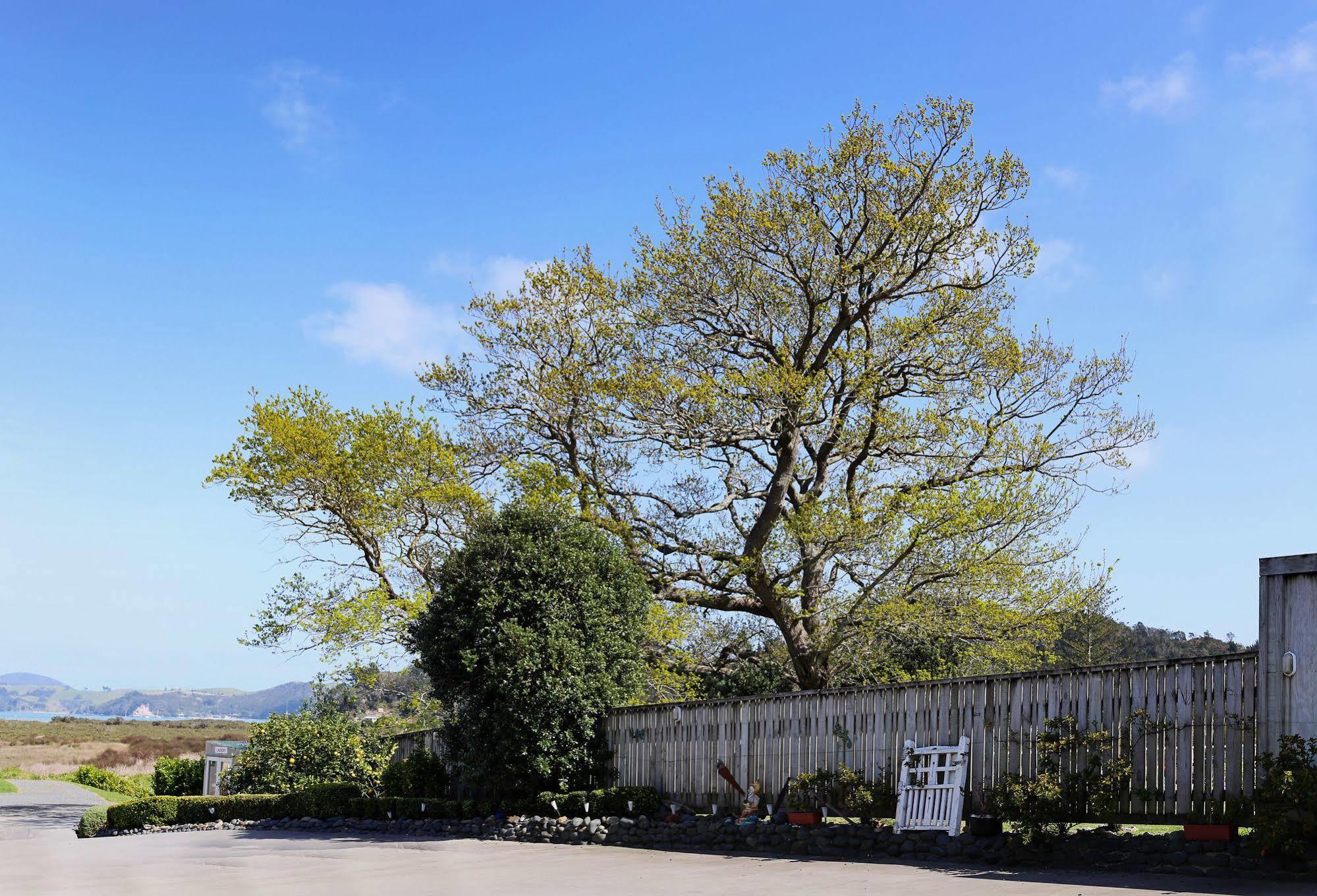 Abbey Court Motel Coromandel Eksteriør billede